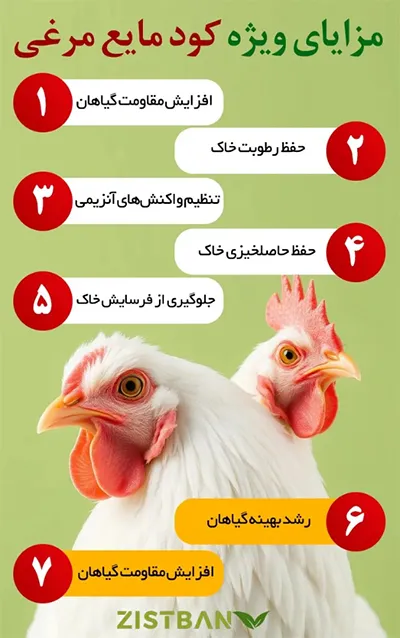 مزایای استفاده از کود مرغی مایع برای برنج